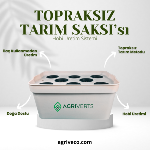 Agriveco 8’li topraksız tarım saksı sistemi ile evde marul yetiştirme