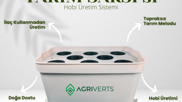 Agriveco 8’li topraksız tarım saksı sistemi ile evde marul yetiştirme
