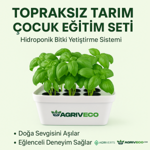 Agriveco topraksız tarım çocuk eğitim setiyle fesleğen yetiştirilen beyaz hidroponik saksı